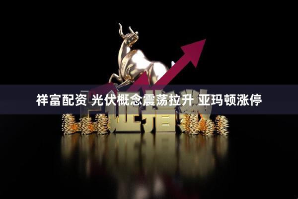 祥富配资 光伏概念震荡拉升 亚玛顿涨停