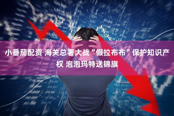 小番茄配资 海关总署大战“假拉布布”保护知识产权 泡泡玛特送锦旗