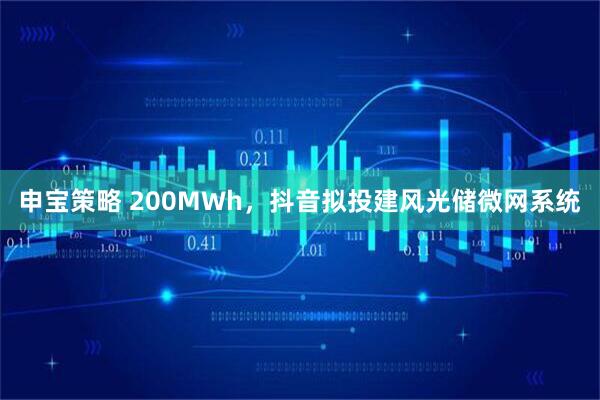 申宝策略 200MWh，抖音拟投建风光储微网系统