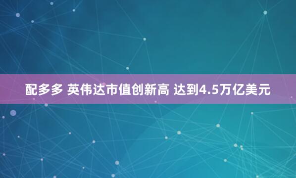 配多多 英伟达市值创新高 达到4.5万亿美元
