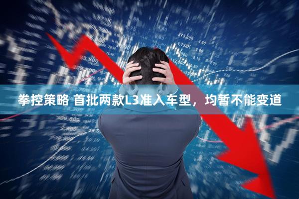 拳控策略 首批两款L3准入车型,均暂不能变道