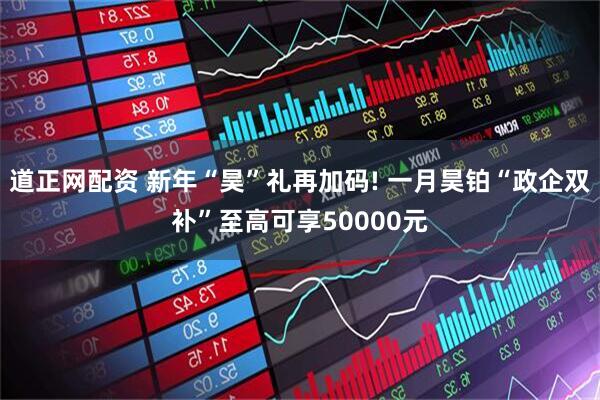 道正网配资 新年“昊”礼再加码! 一月昊铂“政企双补”至高可享50000元