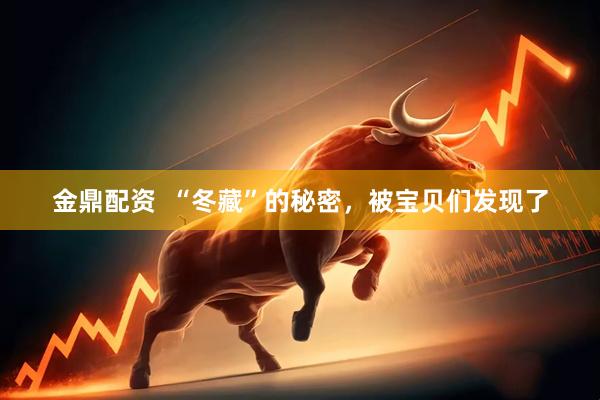 金鼎配资  “冬藏”的秘密，被宝贝们发现了